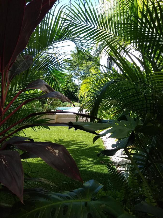 Palm Beach Inn 플라야 그란데 외부 사진