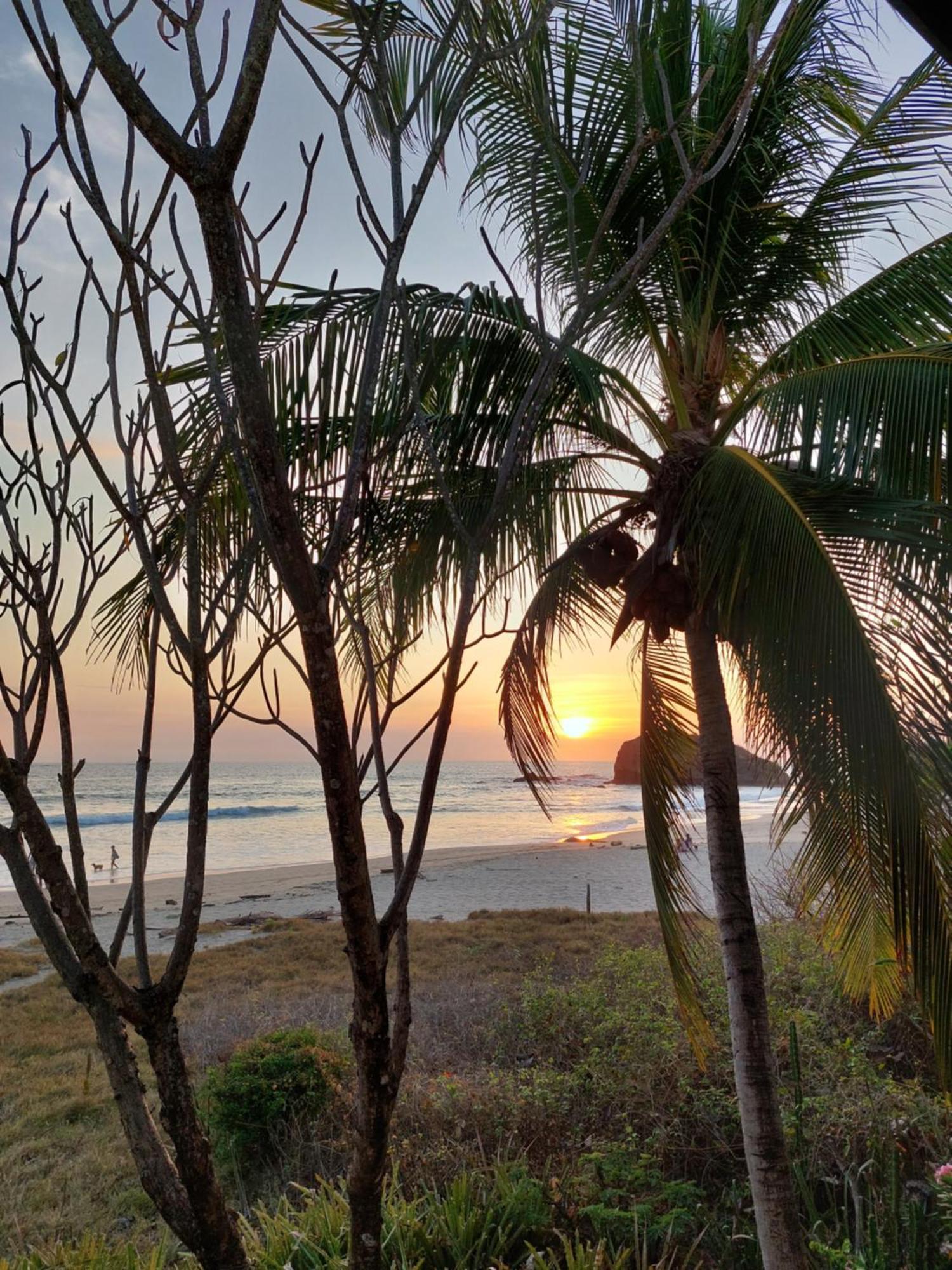 Palm Beach Inn 플라야 그란데 외부 사진
